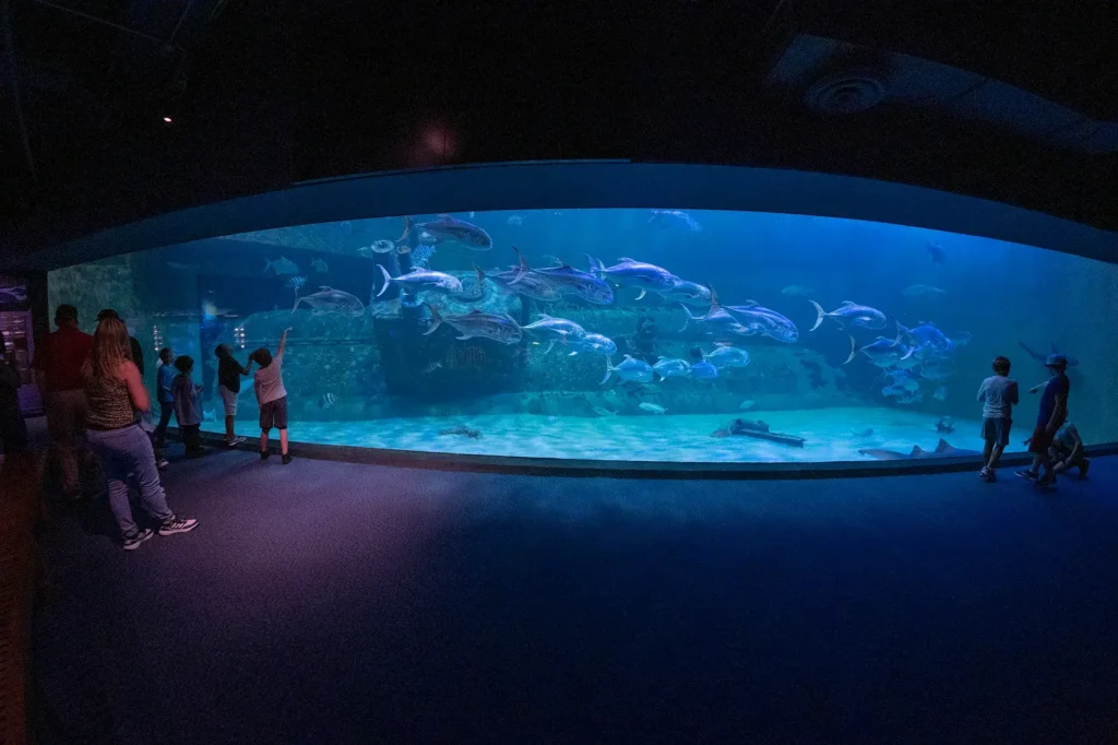 Engaging aquarium museum exhibit with interactive displays