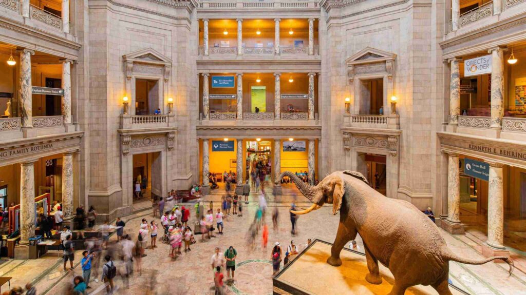 Museums in India