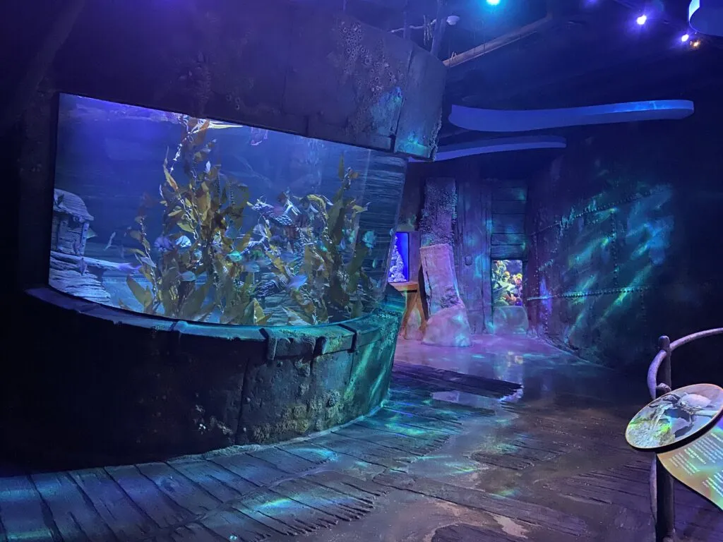 Budgeting for aquarium construction and maintenance with expert design solutions