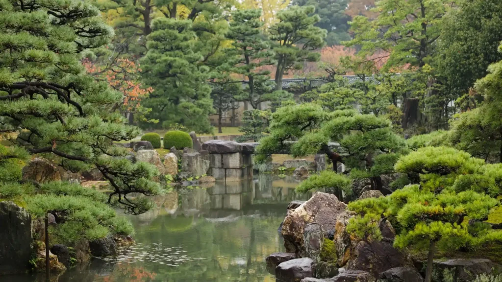 Zen Garden design