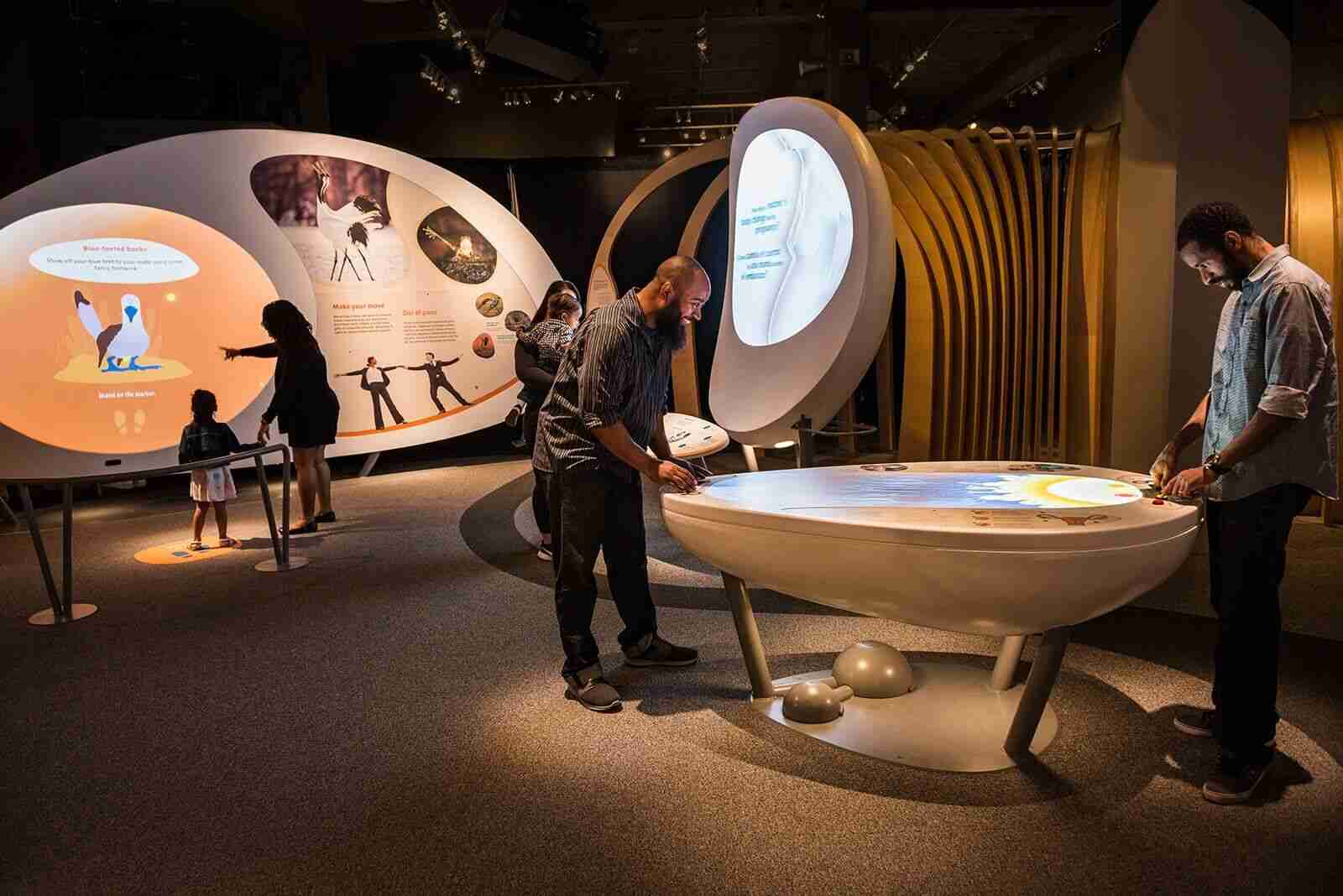 The Importance Of Interactive Museum Displays For Visitor Engagement