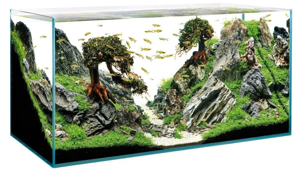 Stunning aquascape design