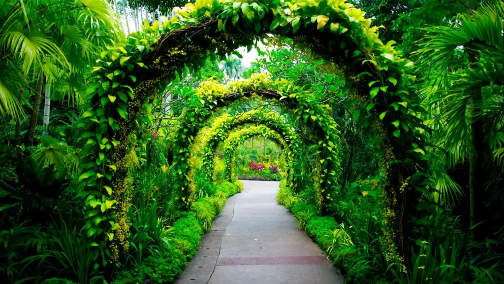 Garden redevelopment design