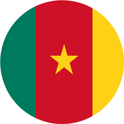 musical fountains company in Cameroon
