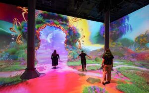 360° Immersive Projection Chamber