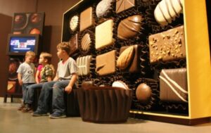 Chocolate Museum & Factory Experience Design 3 Cacao Origin Storytelling Gallery