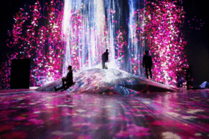 Digital Art Projection Mapping Environments