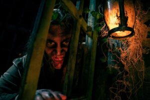 Haunted House & Horror Attraction Design 6 Extreme Horror Adult Only Experience