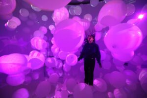 How A Bubble Immersive Experience Museum Operates