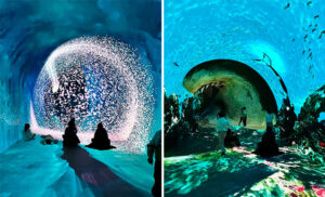 Interactive Motion Reactive Infinity Studio