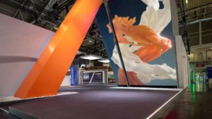 Interactive Video Motion Capture Zones