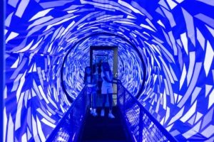 Strategic Planning for an Optical Illusion Museum