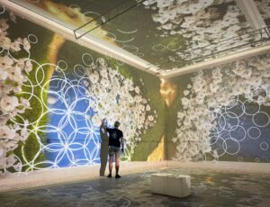What Is an Immersive Digital Art Gallery