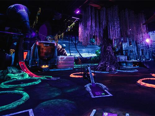 International Case Studies 1